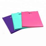 OEM professional recycle plastic carrier bag custom printed merchandise bags