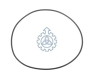 China O-ring 42114757 factory
