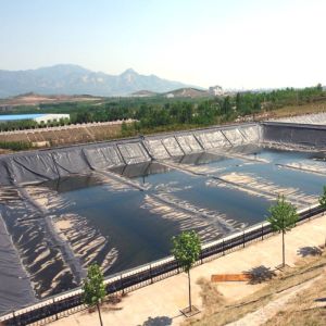 China 100% Virgin Material ASTM Standard GM13 HDPE Geomembrane Liner 0.3mm 0.5mm 1.0mm 1.5mm 2.0mm For Landfill / Shrimp Pond factory