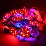 Outdoor Waterproof IP67 24V Bulb Profile lamp 50mm RGB LED Pixel Point Light
