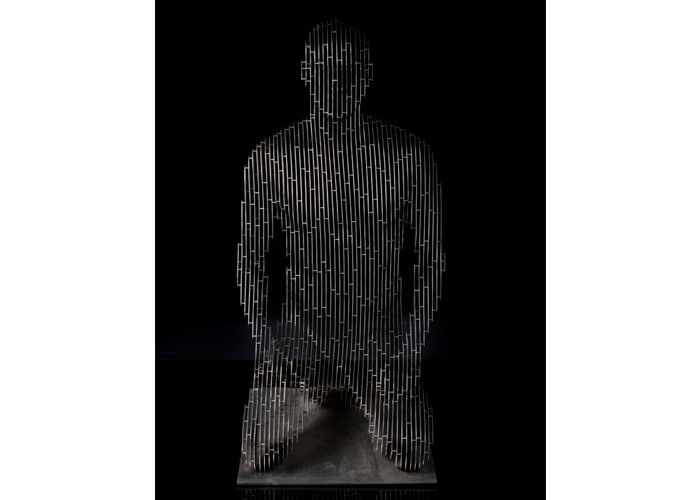 Matt Finish Stainless Steel Disappearing Sculpture