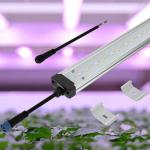 Samsung Beads Cucumber T8 Grow Light Tubes Waterproof 60w Led Grow Light