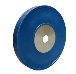 China ALX Wholesale Plastic Barbell Weight Barbell Board Custom Logo Different Weights in Stock factory