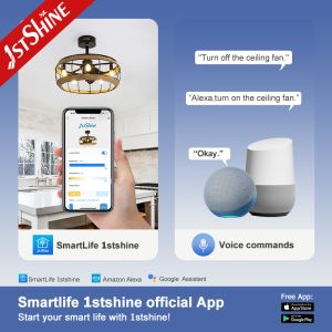 19 Inches Farmhouse Caged Bladeless Ceiling Fan With Light