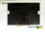 Custom Industrial 10.1 Inch AUO LCD Panel A101VW01 V2 For Notebook / Laptop