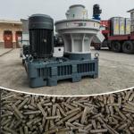 2-3T/H Output Ring Die Biomass Home Heating Wood Pellet Mill Maker