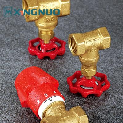 Corrosion Resistant Stop Gate Valve 200 PSI Pressure Rating Durable NPT BSP