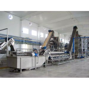 Complete Customized Strawberry Processing Line Blueberry/Strawberry/Raspberry