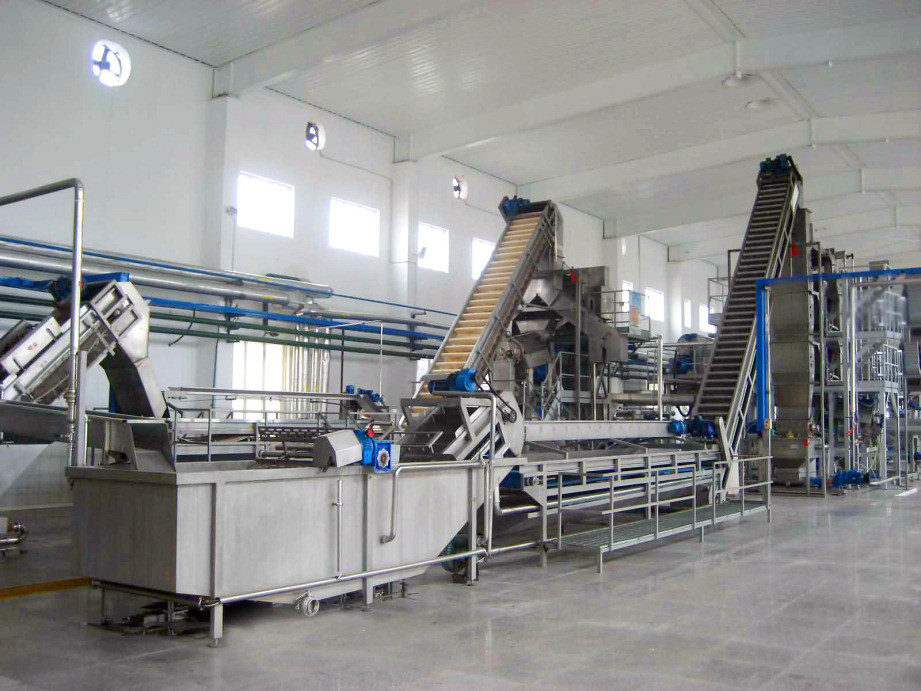 SUS304/316 Complete Pitaya Processing Line Customized Passion Fruit/Pitaya/Guava Production Plant Equipment With PLC For Fruit Factory