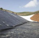 Green Geomembrane for Waterproof Artificial Lake Tank Dam Lining HDPE Customized