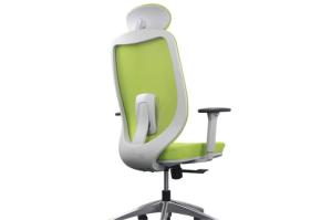 China Green Mesh Adjustable Ergonomic Chair , H1165-1260MM Ergo Computer Chair factory