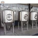 CE certificated microbrewery equipment with electricity heating or steam heating