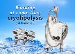 Professional 4 Hand Pieces Cryolipolysis Fat Freeze Slimming Machine