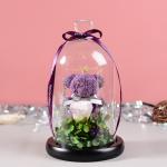 Wholesale Price Rose bear preserved roses in glass dome rose bear for lover