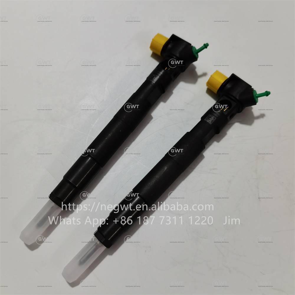 DELPHI Common Rail Injection System 28342997 28348371 A6510700587 A6510704987