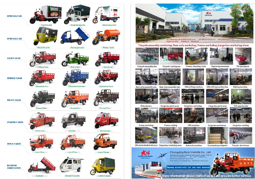800CC Heavy Type Tuk Tuk Cargo Carrier Tricycle with Closed Cabin and 10L Capacity