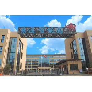 High Speed SMT Assembly Machine 250000 CPH 68 PCS Feeders for LED Flexible