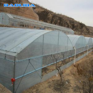 China Agricultural Plastic Sheeting Greenhouse With Hot Galvanized Steel Framework on sale