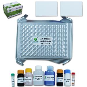 China Avian Influenza Virus ELISA Anti Body Test Kit Diagnostic 96Wells/Kit ISO9001 factory