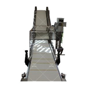 Cutting Salad Rocket and Spinach Made Easy with 1350mmx850mmx950mm Harvester