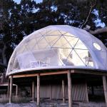6m Outdoor Bubble Tent Glamping Prefabricated Geodesic Dome House