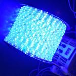 50Ft 100Ft 150Ft 300Ft 2-Wires 1/2 LED Rope Lights 110v 120v 220v 240v
