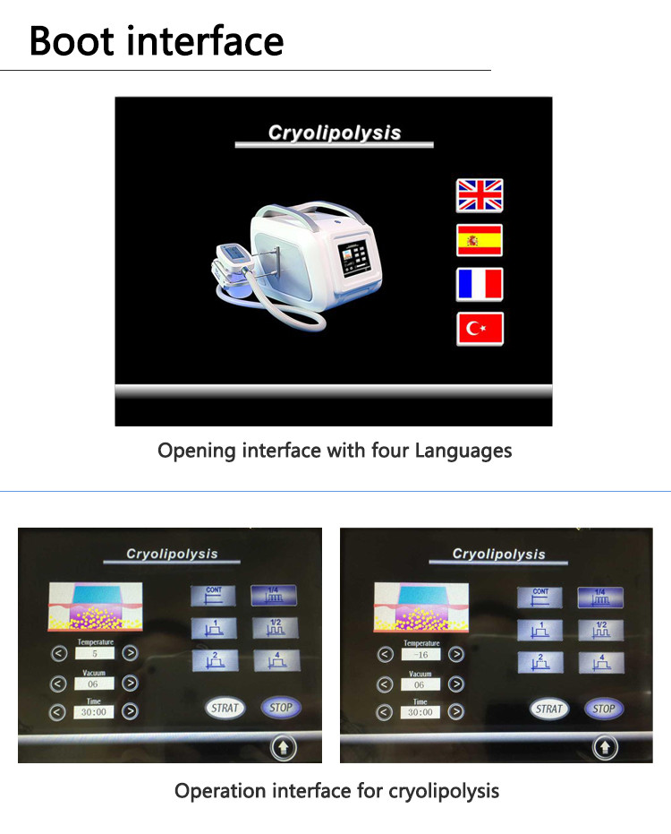 home use portable cryolipolysis device/cryolipolysis machine/cryolipolysis fat reduce machine LF-213