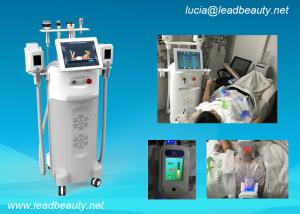 China Cryo cool weight loss laser machine therapy cellulite reduction equipment for salon use factory