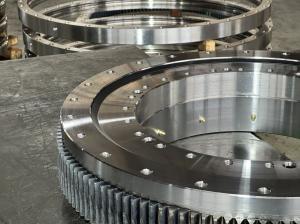 China 131.25.560 Extra Tooth Cross Roller Slewing Bearing slewing Ring Swing Gear Turntable factory