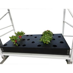China PP 4ft*16ft Vegetable Planting Rack Customized Aeroponics Growing Systems factory