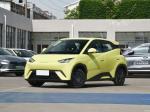 Dynamic Version BYD Full Electric Car 4 Seater Electric Car Seagull 2023
