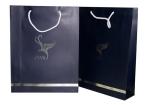 Silver Plating Logo 210gsm Matt coatedPaper Carrier Bag CMYK Printing