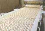 Eco Friendly 3630 Conveyor Belt Fabric Material For Light Industry Using