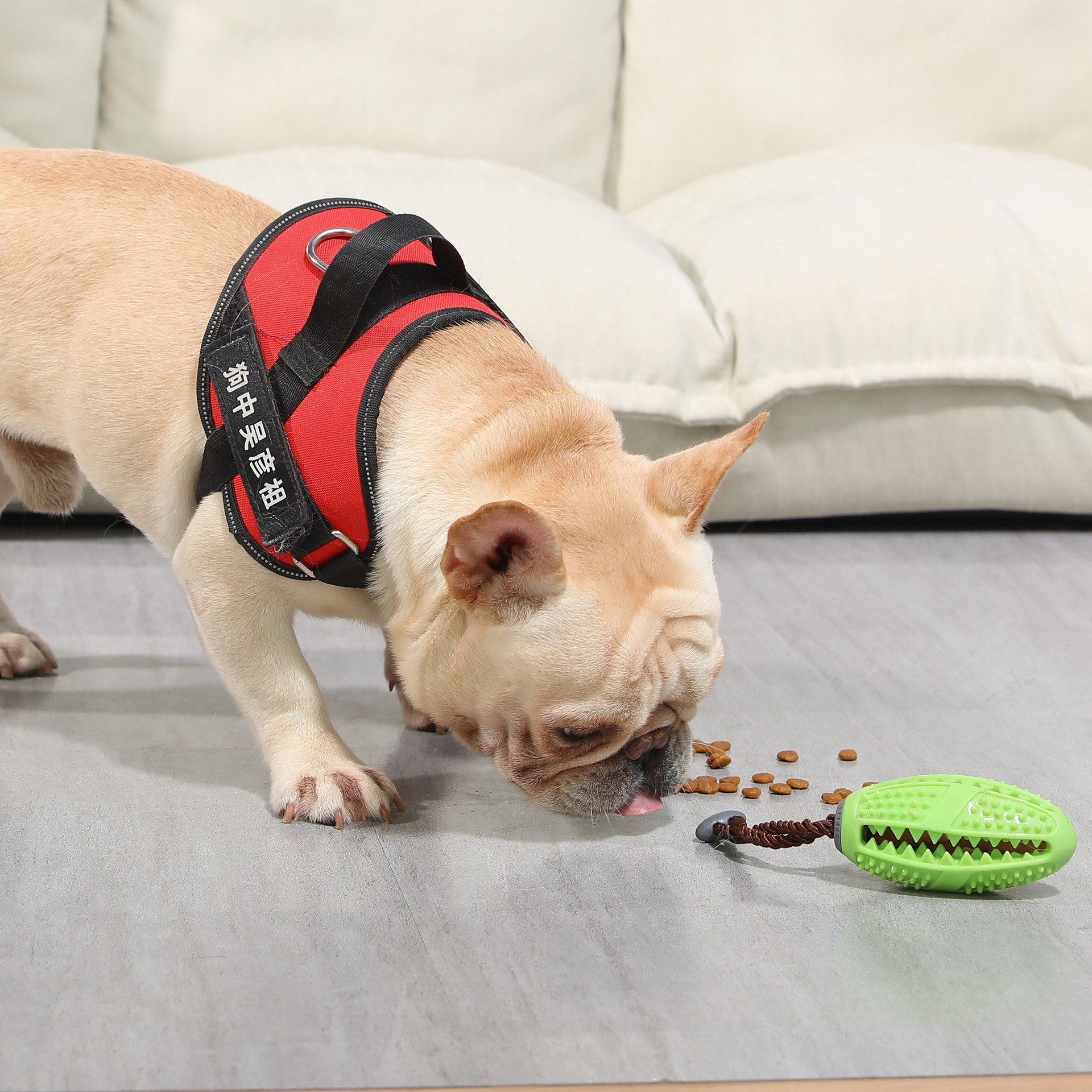 dog slow feeder ball