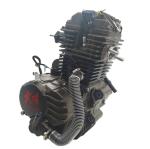 250CC DAYANG Motorcycle Engine Single Cylinder 4 Stroke Wolf Water-Cooled Cold