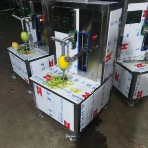 Peach apricot plum mango juice making maker mango peeling pulping machine