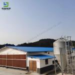 Prefabricated Ready Made Wholesale Steel Structure Cattle Cow Goat Poultry