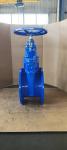 DIN Cast Iron Soft Seat Gate Valve PN16 Non Rising Stem Customized