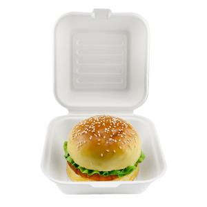 China Food Container Box for Fast Food Hamburg and Takeway Food 6 inch White or Nature Compostable factory