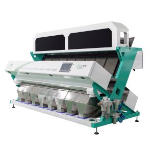 China WENYAO Channa Dal CCD Camera Sesame Seeds Wheat Sorting Machine factory