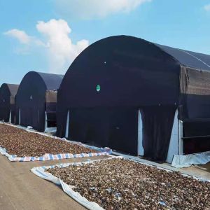 China Uv Protected Arch Mushroom Poly Tunnel Greenhouse on sale