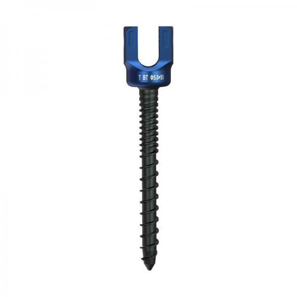 Spondylolisthesis Spinal Stenosis Titanium Alloy System Orthopedic Spinal