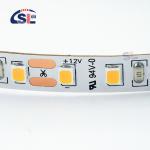 LED Strip 2835 12V City light 3000K 4000K 6500K Waterproof PCB 8MM LED 24V 60led