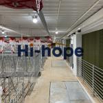 Pig Raising Piggery Farm Equipment With Steel Structure Building