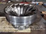 Runner Diameter 0.5 10 Meters Stainless Steel Water Power Turbine for Eco