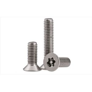 Cold-Headed Cold-Formed Anti-Theft Screws Custom Security Fasteners Hardware