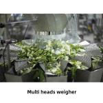 2.2kw 60Bags/Min Dried Persimmon Granular Packing Machine