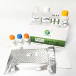 Antibody Virus Rabies Test Kit Canine ELISA Kit 96 Wells/Kit C ISO9001