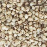 Boiled Roasted Organic Job'S Tear For Drink