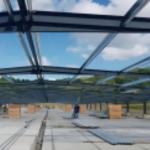 Q235B Q355B Steel Structure Chicken House , Economical Prefab Steel Structure